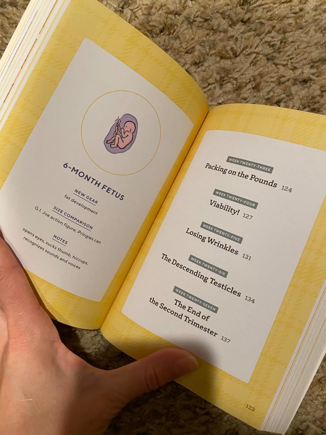 We're Pregnant! The First Time Dad's Pregnancy Handbook Paperback – April 24, 2018 9781939754684 - Image 10