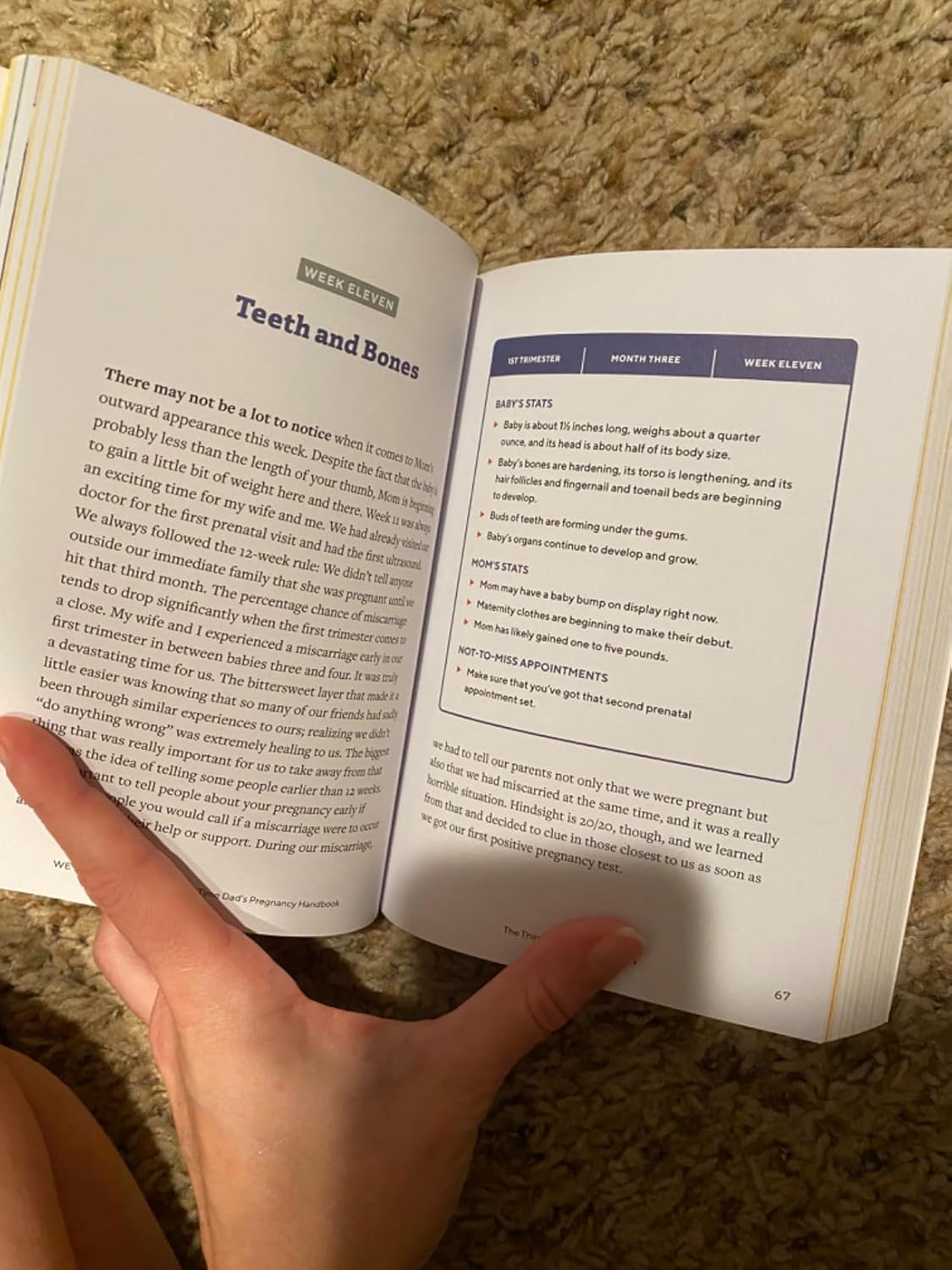 We're Pregnant! The First Time Dad's Pregnancy Handbook Paperback – April 24, 2018 9781939754684 - Image 9