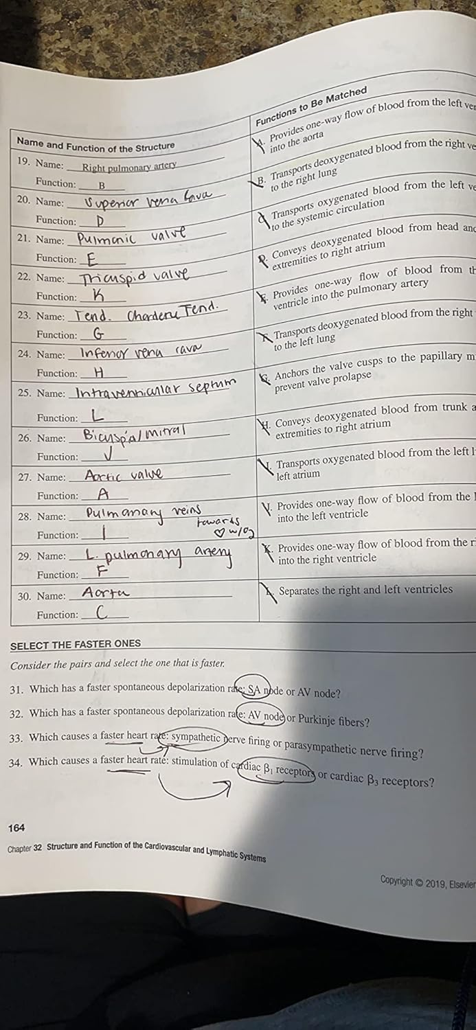 Study Guide For Pathophysiology: The Biologic Basis for Disease in Adults and Children Spiral-bound – March 6, 2018 - Image 9