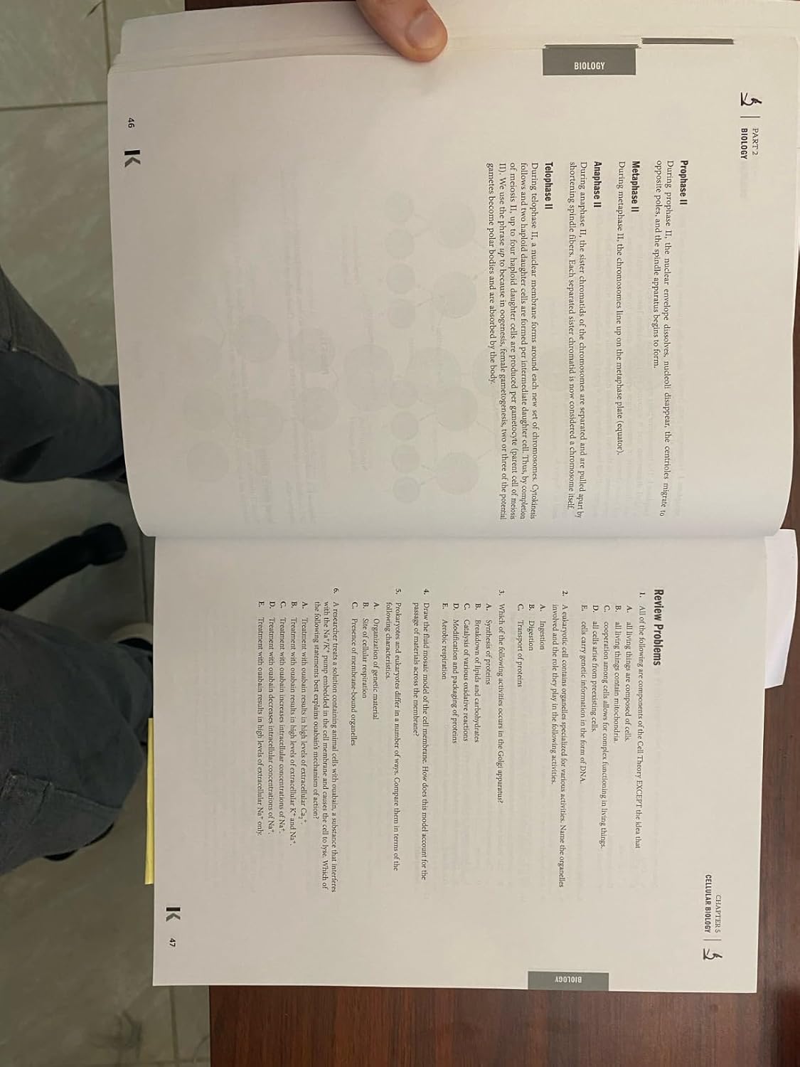 DAT Prep Plus 2023-2024: 2 Practice Tests + Proven Strategies + Online (Kaplan Test Prep) 9781506276823 - Image 9