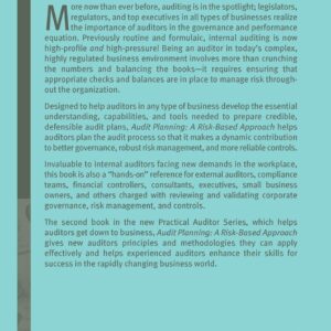 Audit Planning: A Risk-Based Approach 1st Edition 9780471690528