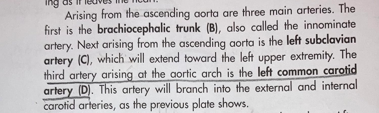 Anatomy Coloring Workbook, 4th Edition: An Easier and Better Way to Learn Anatomy 4th Edition 9780451487872 - Image 11