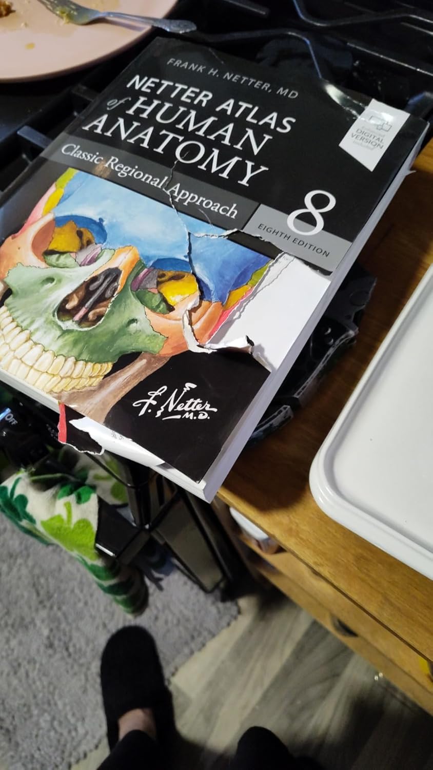 Netter Atlas of Human Anatomy: Classic Regional Approach: paperback + eBook (Netter Basic Science) 8th Edition 9780323680424 - Image 5