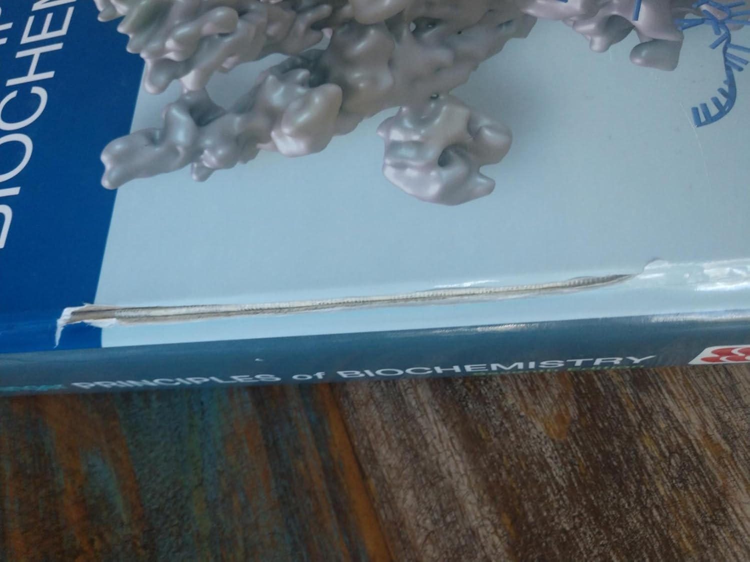 Lehninger Principles of Biochemistry Seventh Edition 9781464126116 - Image 7