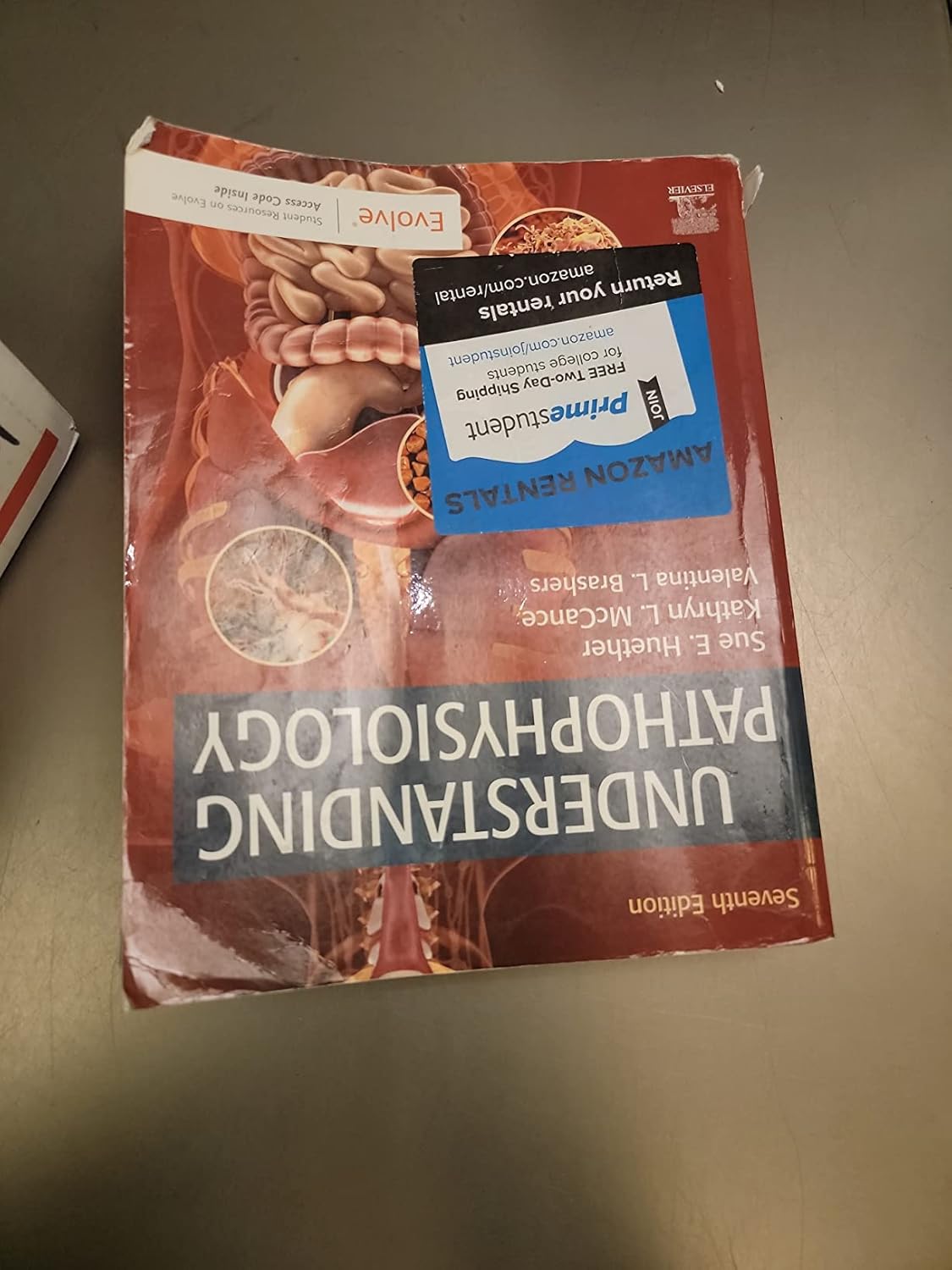 Understanding Pathophysiology 7th Edition 9780323639088 - Image 3