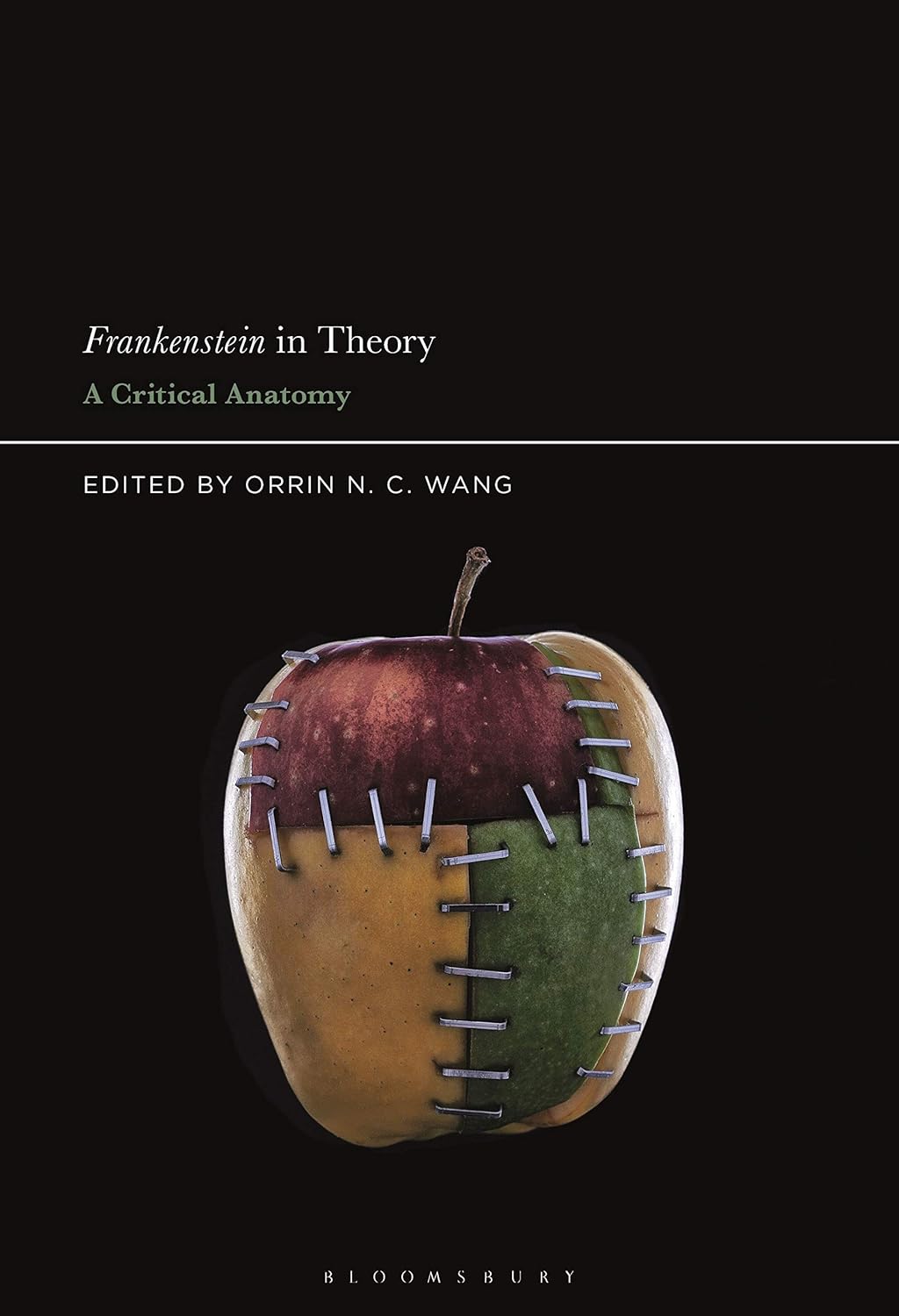 Frankenstein in Theory: A Critical Anatomy Hardcover – January 14