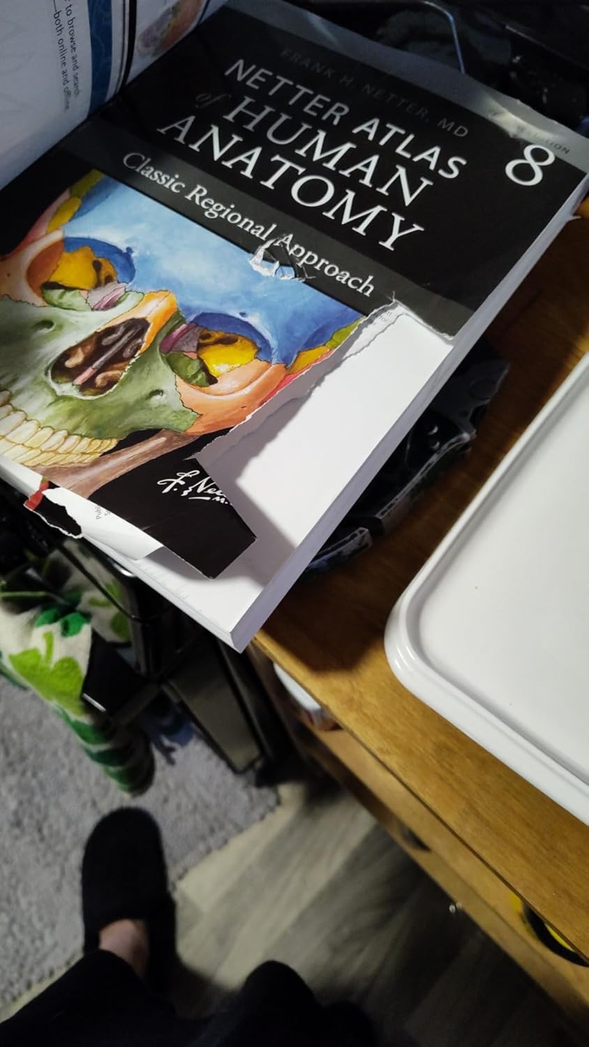 Netter Atlas of Human Anatomy: Classic Regional Approach: paperback + eBook (Netter Basic Science) 8th Edition 9780323680424 - Image 3