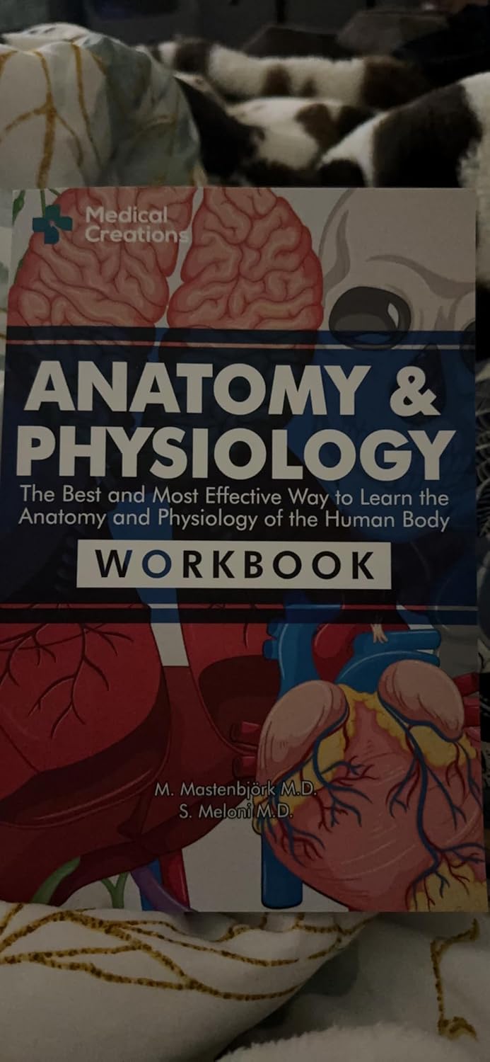 Anatomy & Physiology: The Best and Most Effective Way to Learn the Anatomy and Physiology of the Human Body: Workbook 9781958323045 - Image 4