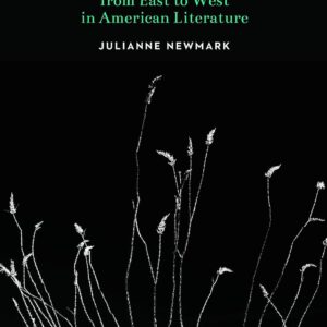 The Pluralist Imagination from East to West in American Literature Hardcover – January 1