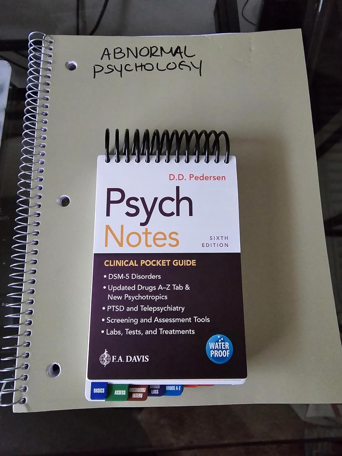 PsychNotes: Clinical Pocket Guide Sixth Edition 9781719645454 - Image 3