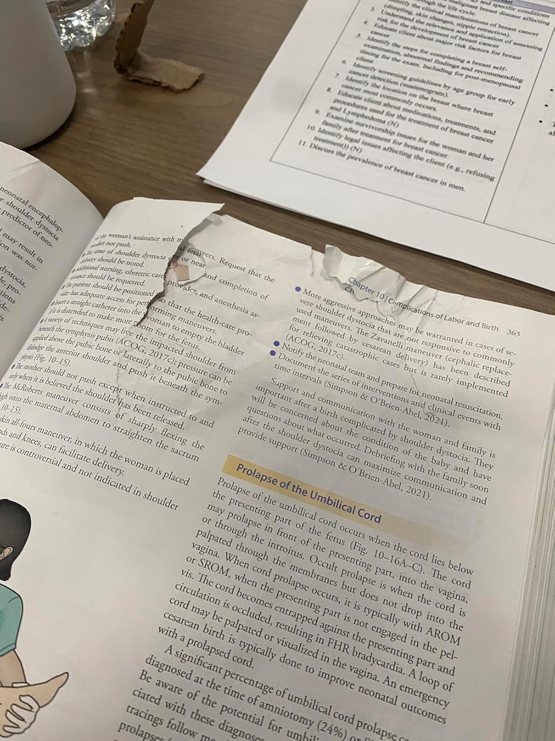 Davis Advantage for Maternal-Newborn Nursing Critical Components of Nursing Care Fourth Edition 9781719645737 - Image 3