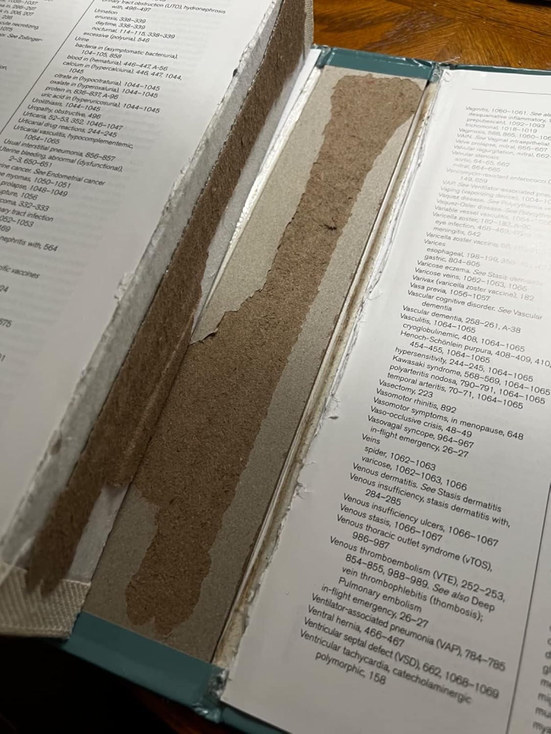 5-Minute Clinical Consult 2023: Print + eBook with Multimedia (The 5-Minute Consult Series) Thirty-First Edition 9781975191559 - Image 8