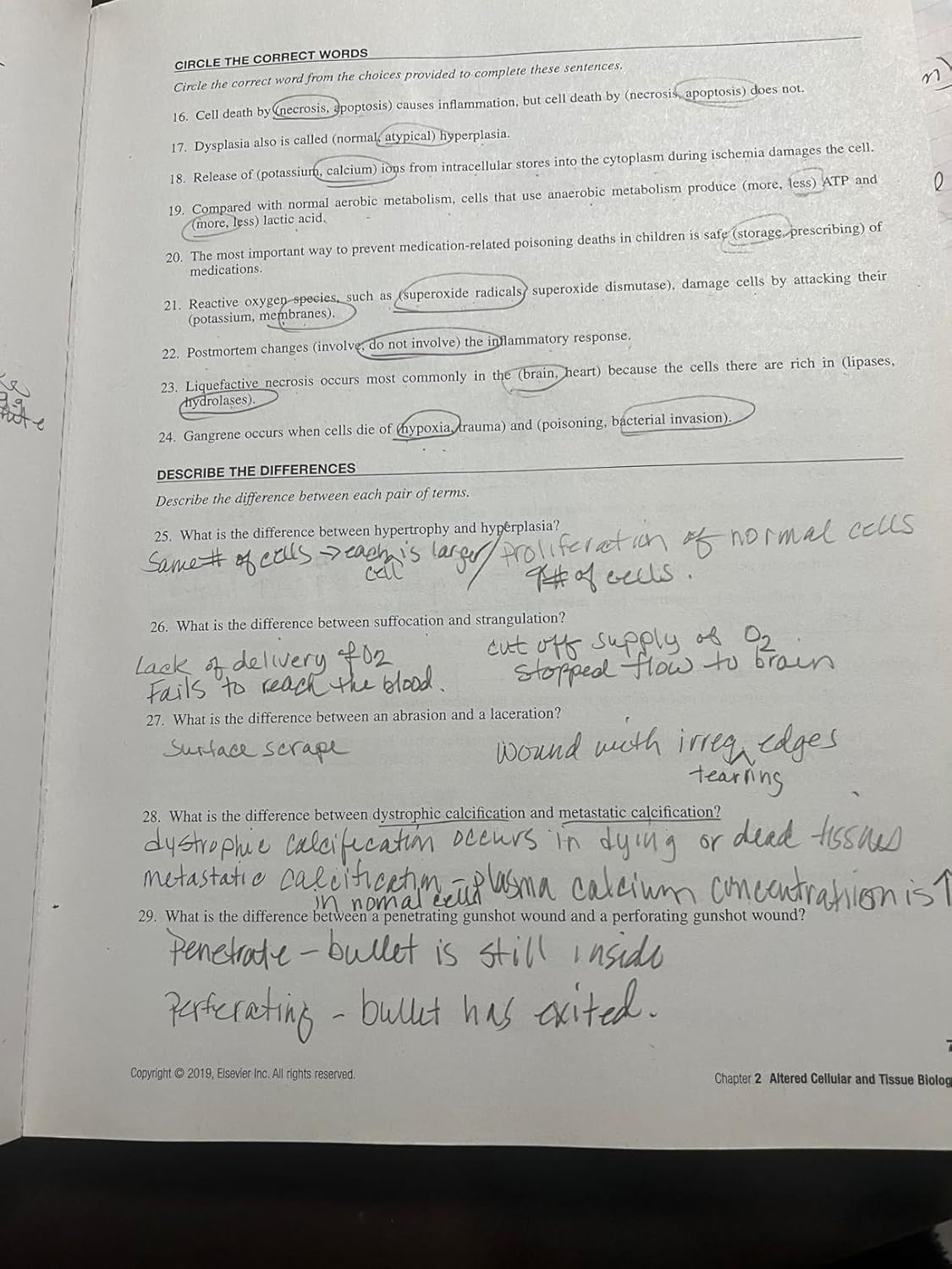 Study Guide For Pathophysiology: The Biologic Basis for Disease in Adults and Children Spiral-bound – March 6, 2018 - Image 6