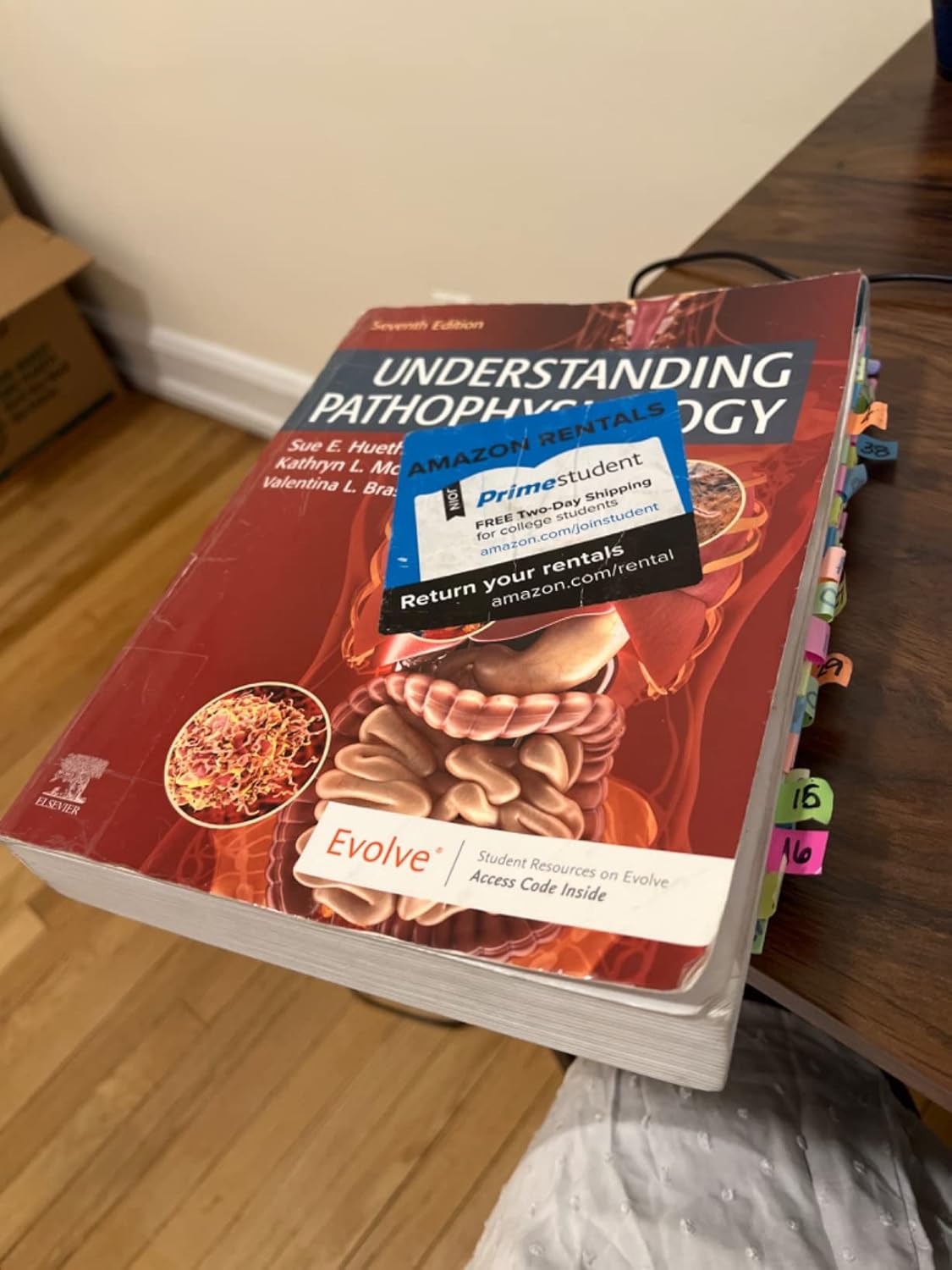 Understanding Pathophysiology 7th Edition 9780323639088 - Image 5