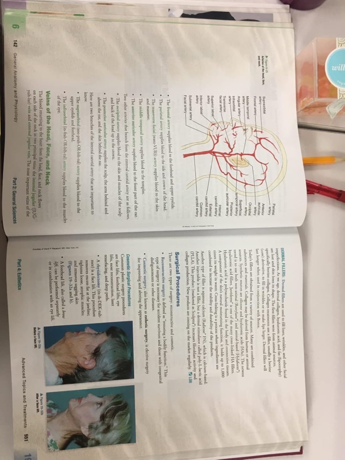 Milady Standard Esthetics: Fundamentals 11th Edition 9781111306892 - Image 7