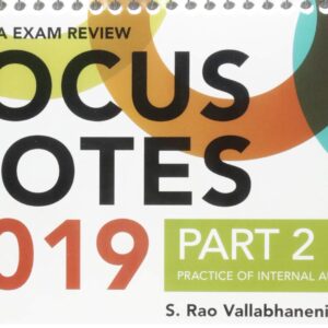 Wiley CIA Exam Review 2019 Focus Notes