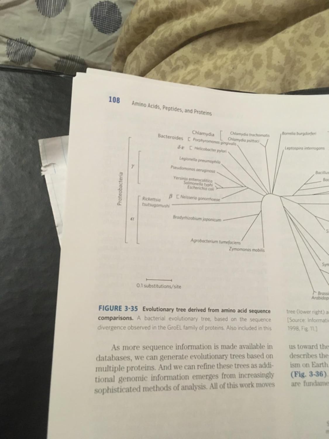 Lehninger Principles of Biochemistry Seventh Edition 9781464126116 - Image 3