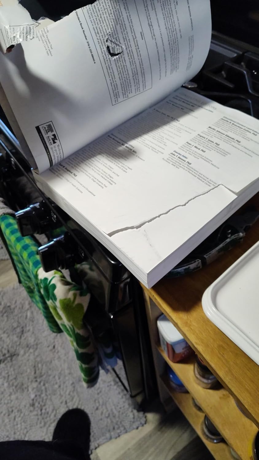 Netter Atlas of Human Anatomy: Classic Regional Approach: paperback + eBook (Netter Basic Science) 8th Edition 9780323680424 - Image 4