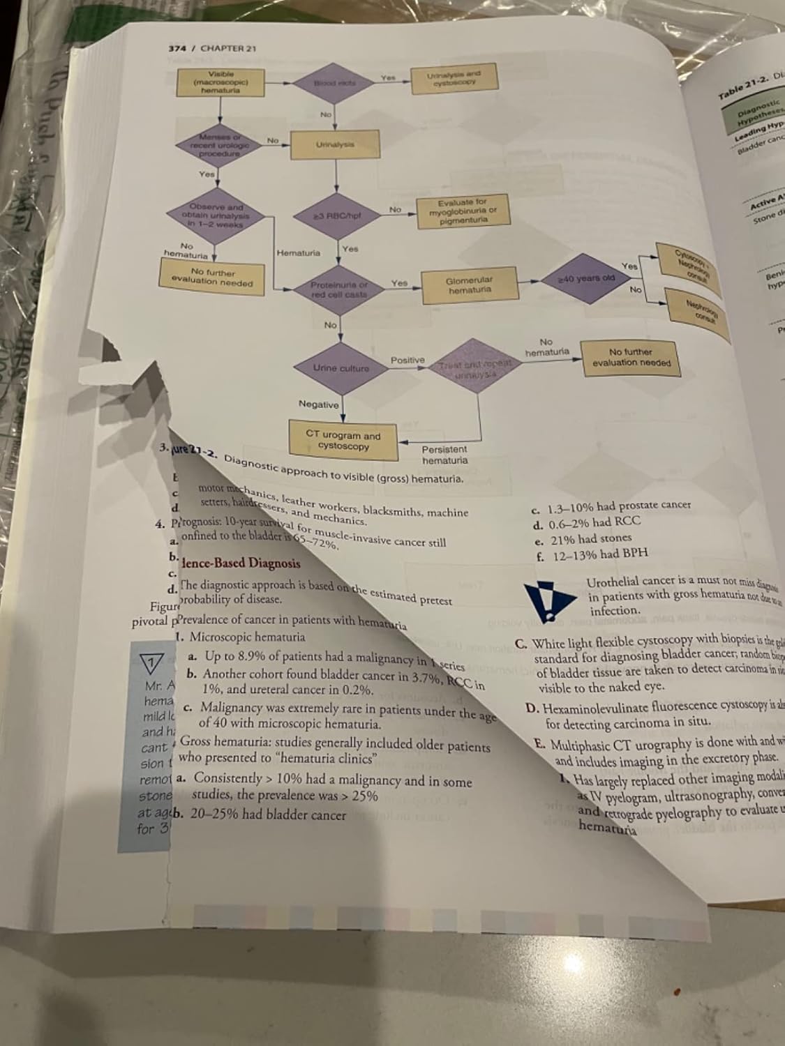 Symptom to Diagnosis An Evidence Based Guide, Fourth Edition 4th Edition 9781260121117 - Image 3