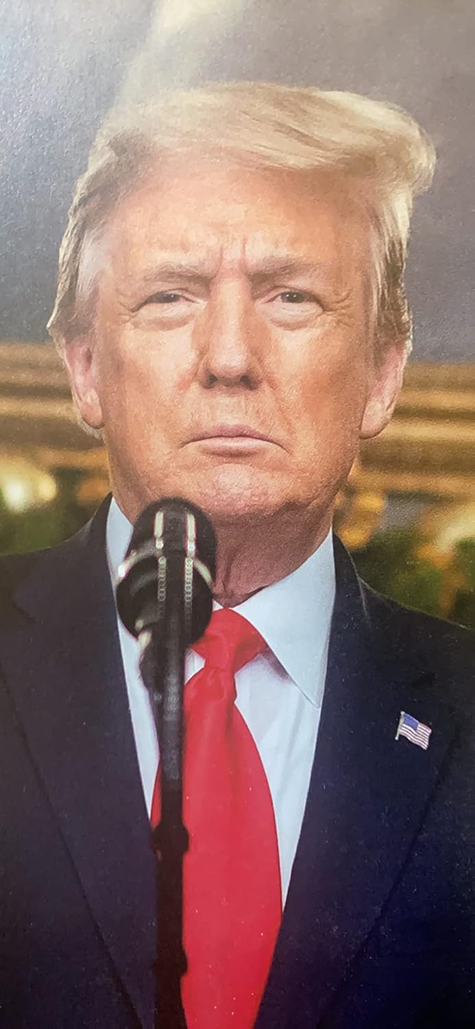 Letters to Trump Hardcover – April 25, 2023 9781735503752 - Image 7