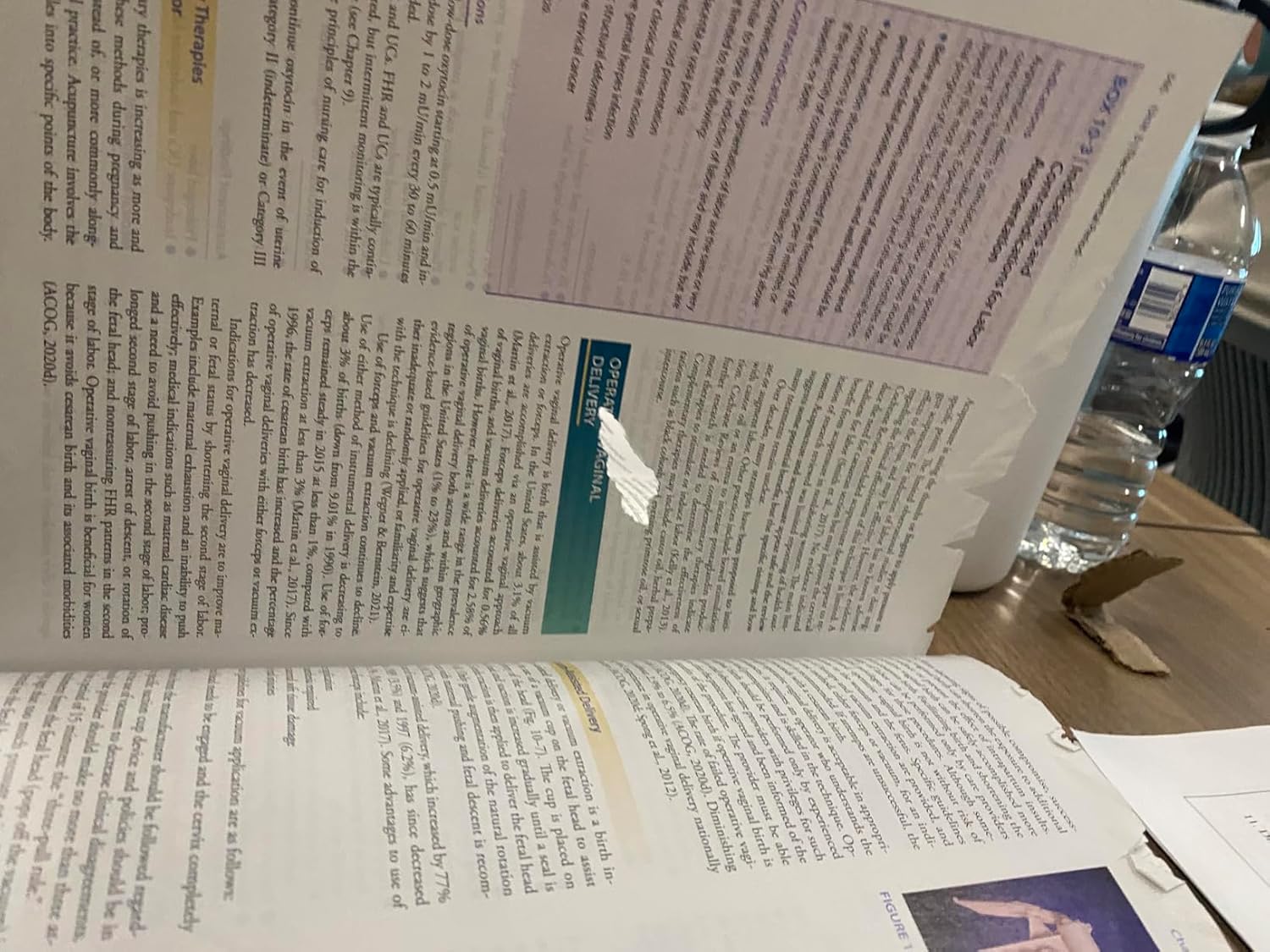 Davis Advantage for Maternal-Newborn Nursing Critical Components of Nursing Care Fourth Edition 9781719645737 - Image 2