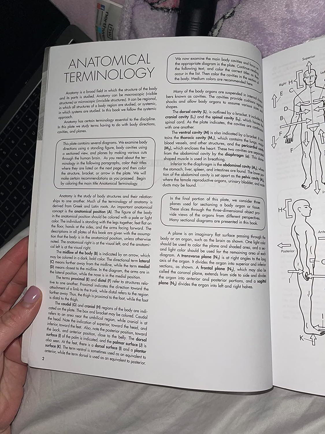 4th Edition: An Easier and Better Way to Learn Anatomy 4th Edition 9780451487872