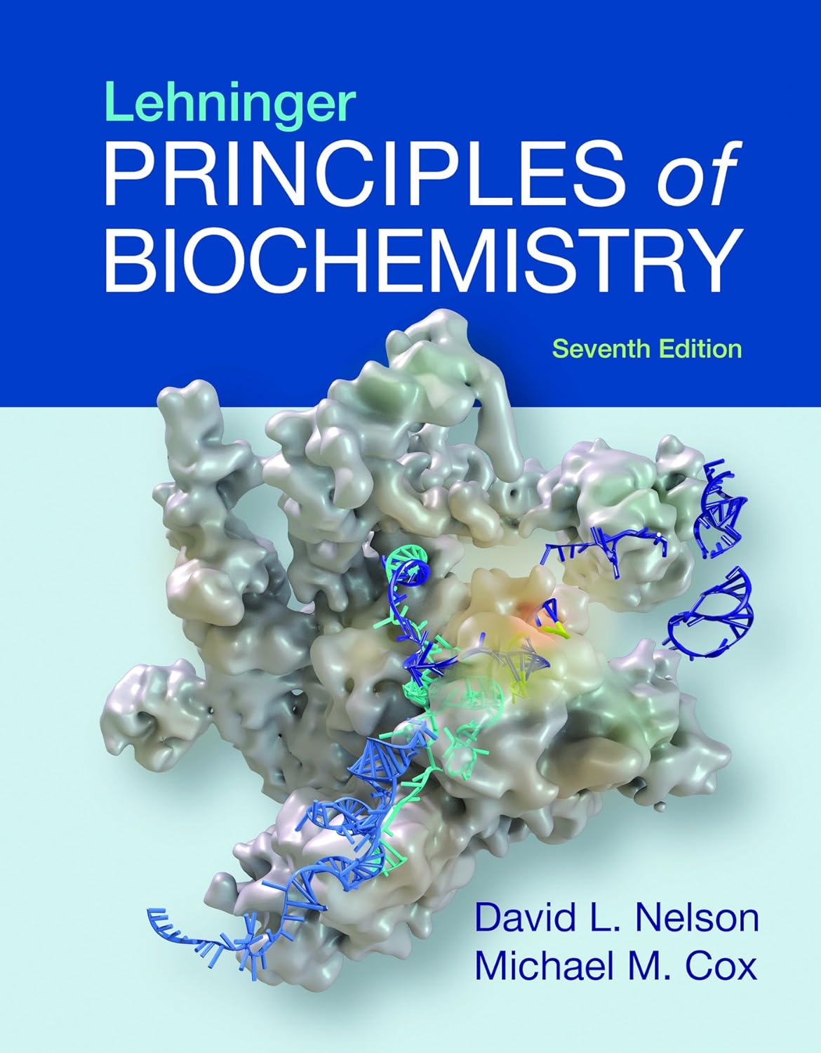 Lehninger Principles of Biochemistry Seventh Edition 9781464126116