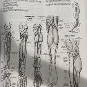 The 4th Edition 9780321832016