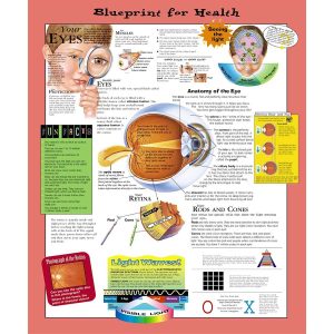 Blueprint For Health Your Eyes Chart