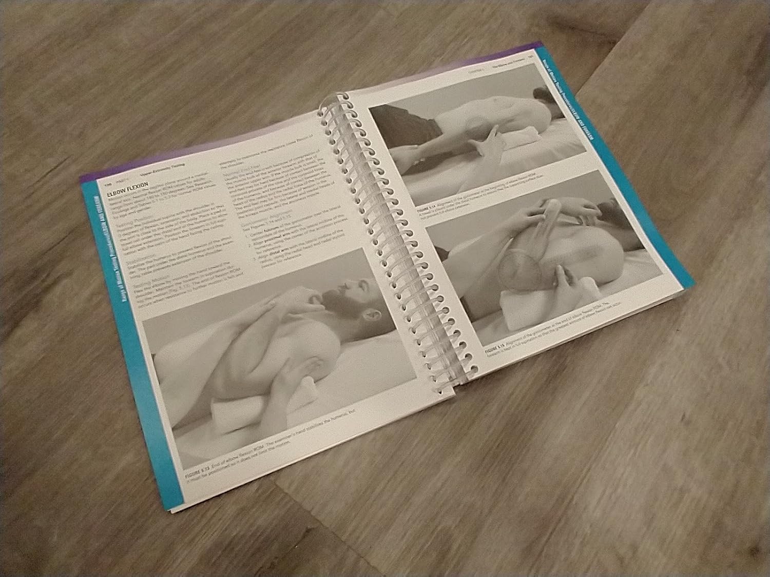 Measurement of Joint Motion: A Guide to Goniometry Fifth Edition 9780803645660 - Image 3