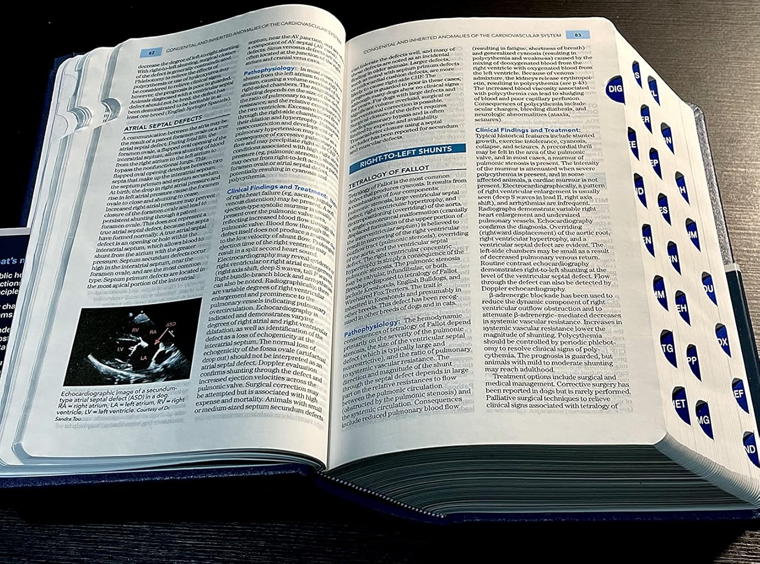 The Merck Veterinary Manual 11th Edition 9780911910612 - Image 6