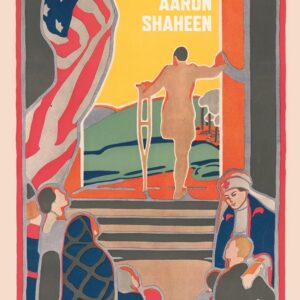 Great War Prostheses in American Literature and Culture 9780198857785