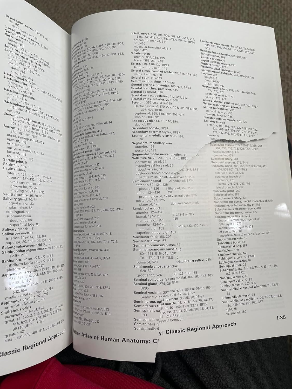 Netter Atlas of Human Anatomy: Classic Regional Approach: paperback + eBook (Netter Basic Science) 8th Edition 9780323680424 - Image 2