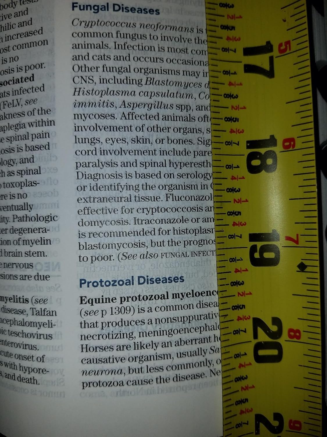 The Merck Veterinary Manual 11th Edition 9780911910612 - Image 7