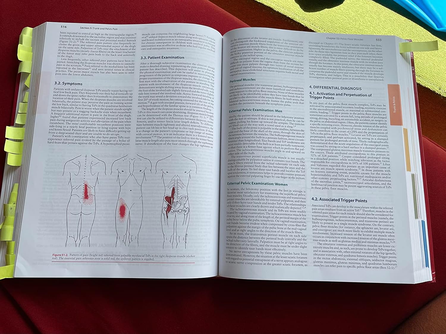 Simons & Simons' Myofascial Pain and Dysfunction: The Trigger Point Manual 3rd Edition 9780781755603