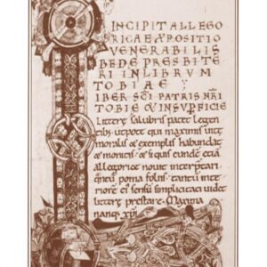 The World of Orderic Vitalis 9780198219378