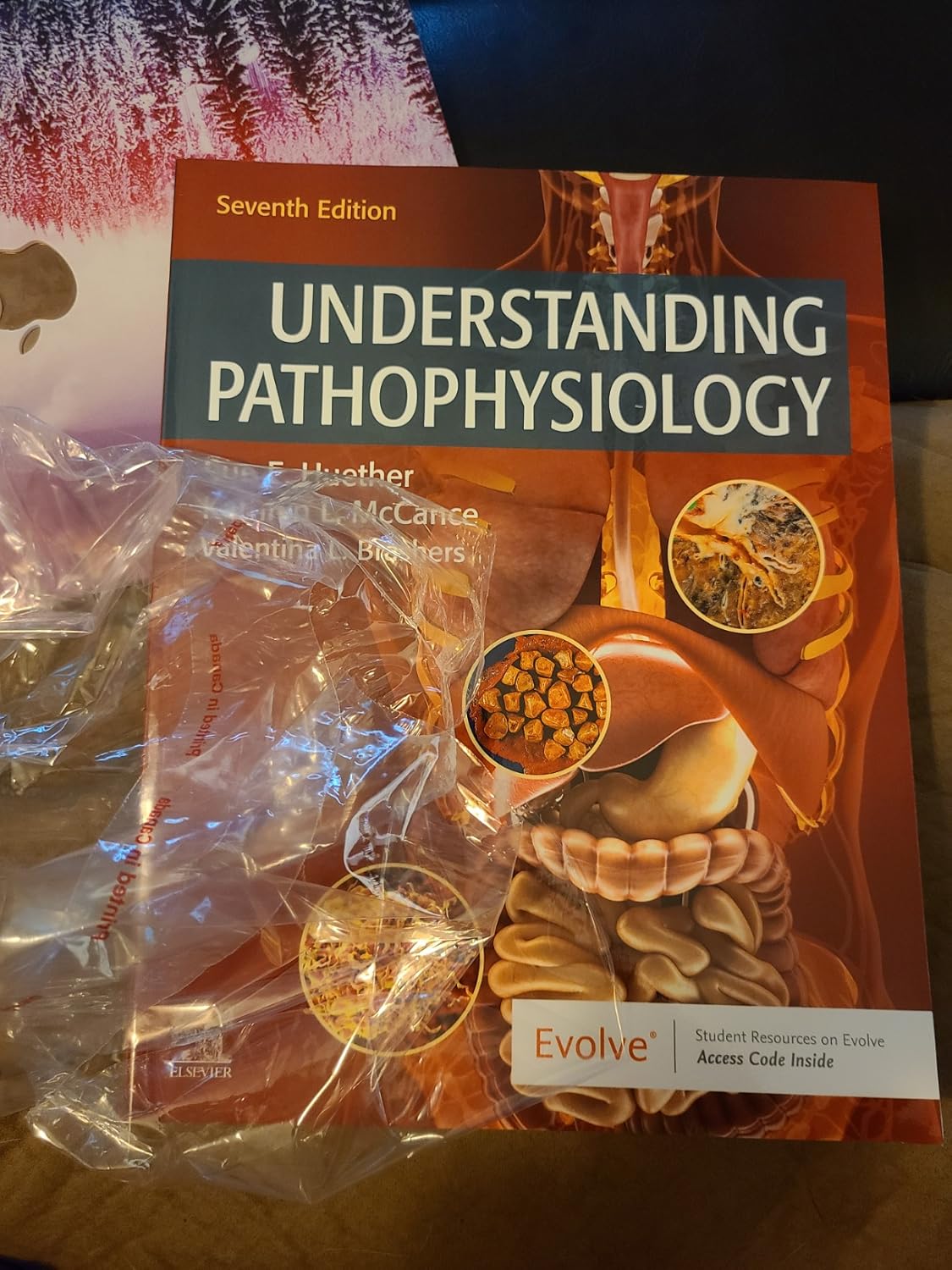 Understanding Pathophysiology 7th Edition 9780323639088 - Image 4