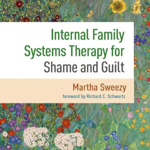 Internal Family Systems Therapy for Shame and Guilt 1st Edition 9781462552474