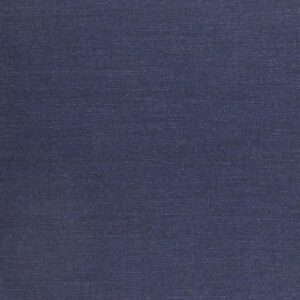 Rival Ambassadors at the Court of Queen Mary Hardcover – December 31