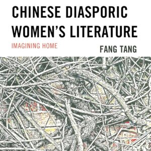 Literary Fantasy in Contemporary Chinese Diasporic Women's Literature: Imagining Home Hardcover – December 3
