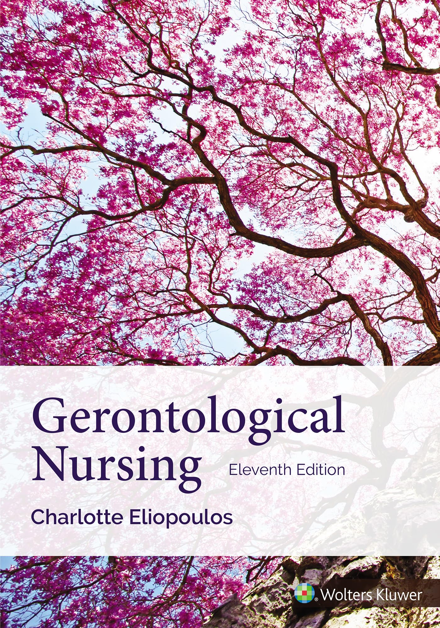 Gerontological Nursing