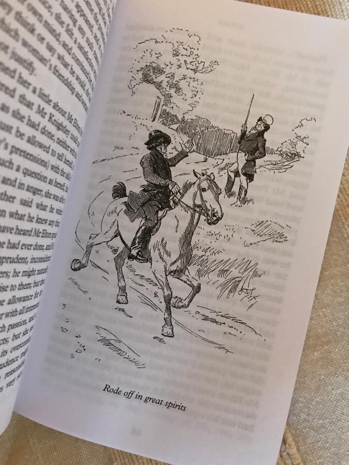 The Jane Austen Collection (Macmillan Collector's Library) Hardcover – January 17, 2017 9781509853472 - Image 3