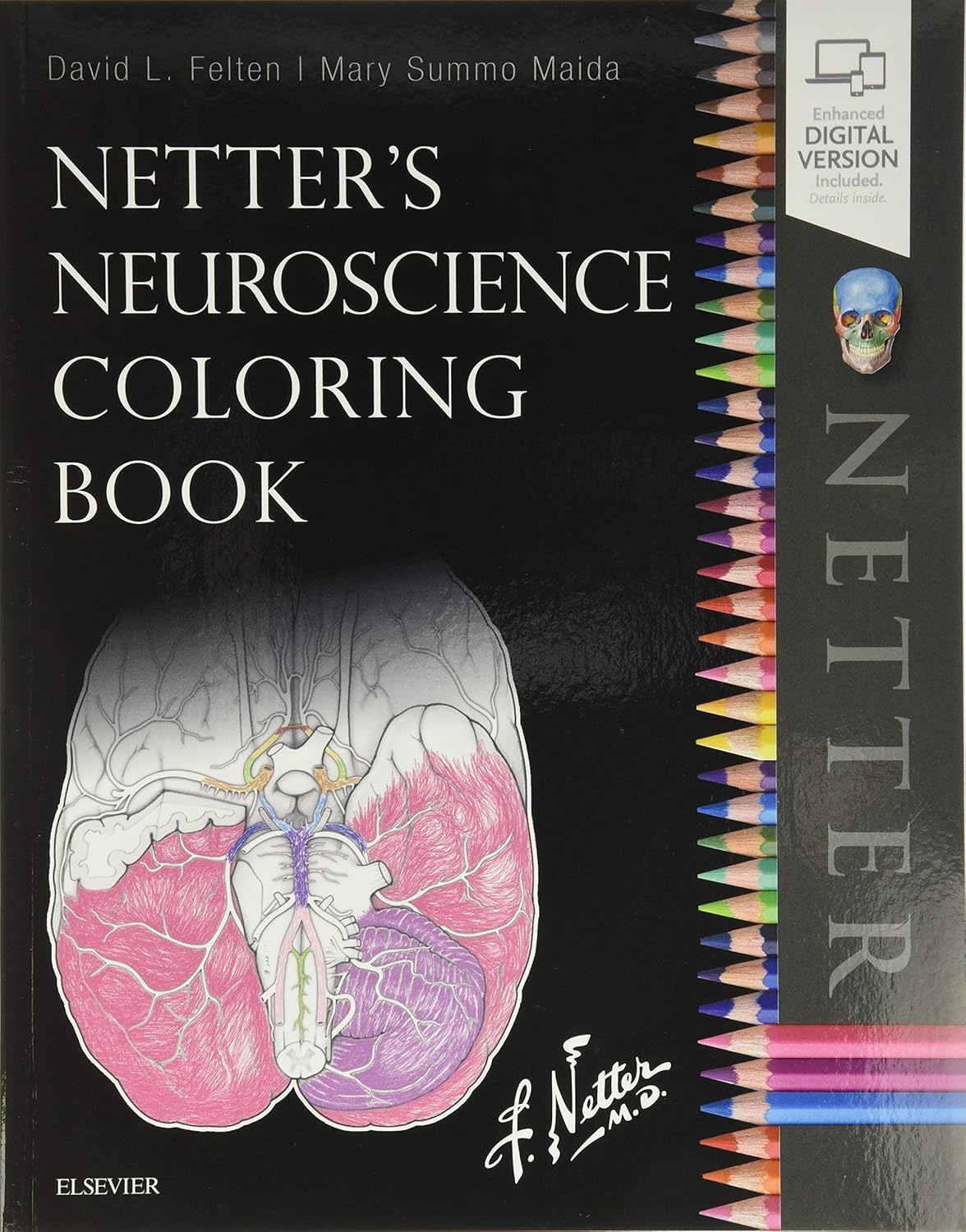 Netter's Neuroscience Coloring Book 1st Edition 9780323509596