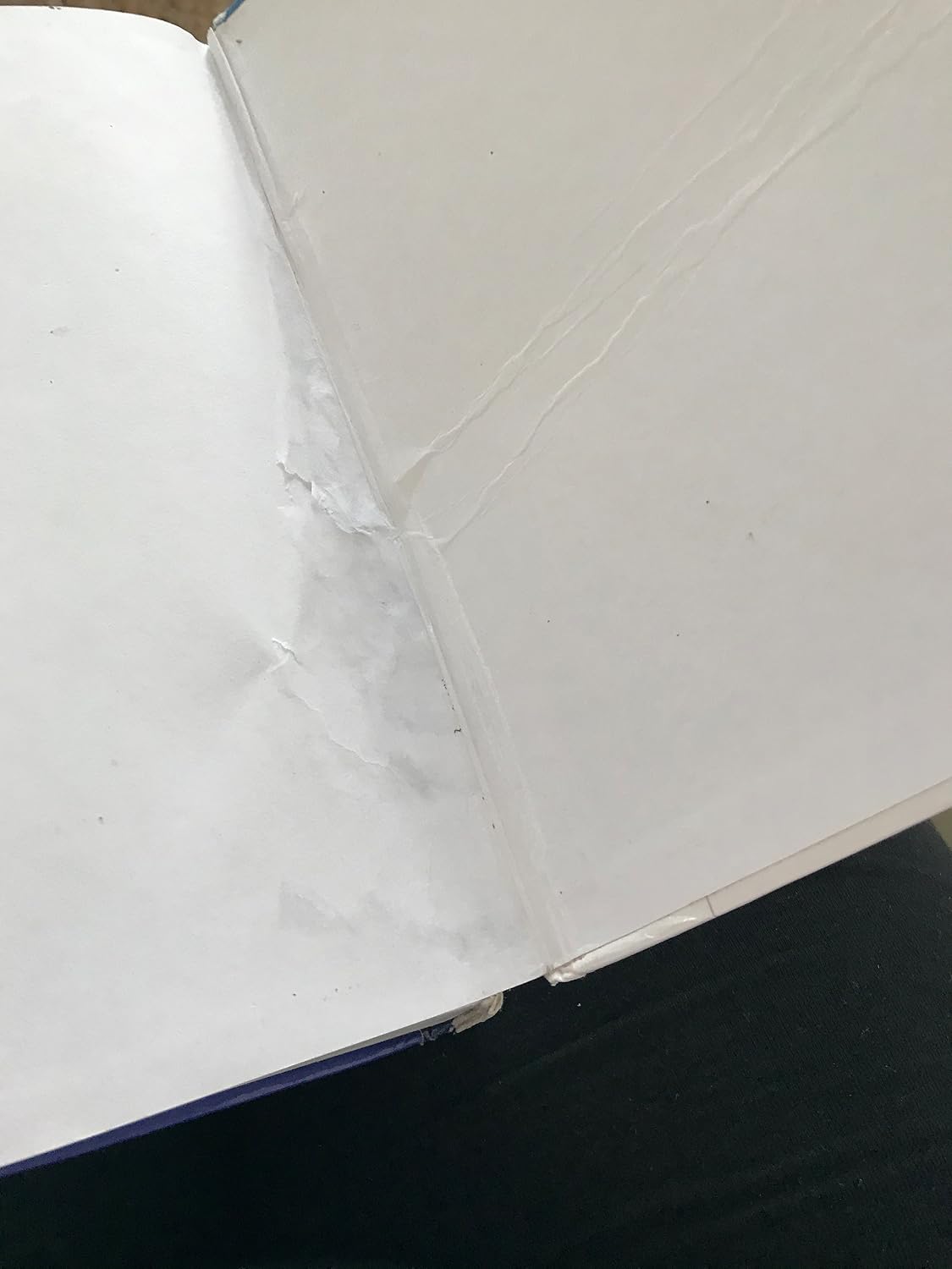 Family Therapy: An Overview 9th Edition 9781305092969 - Image 10