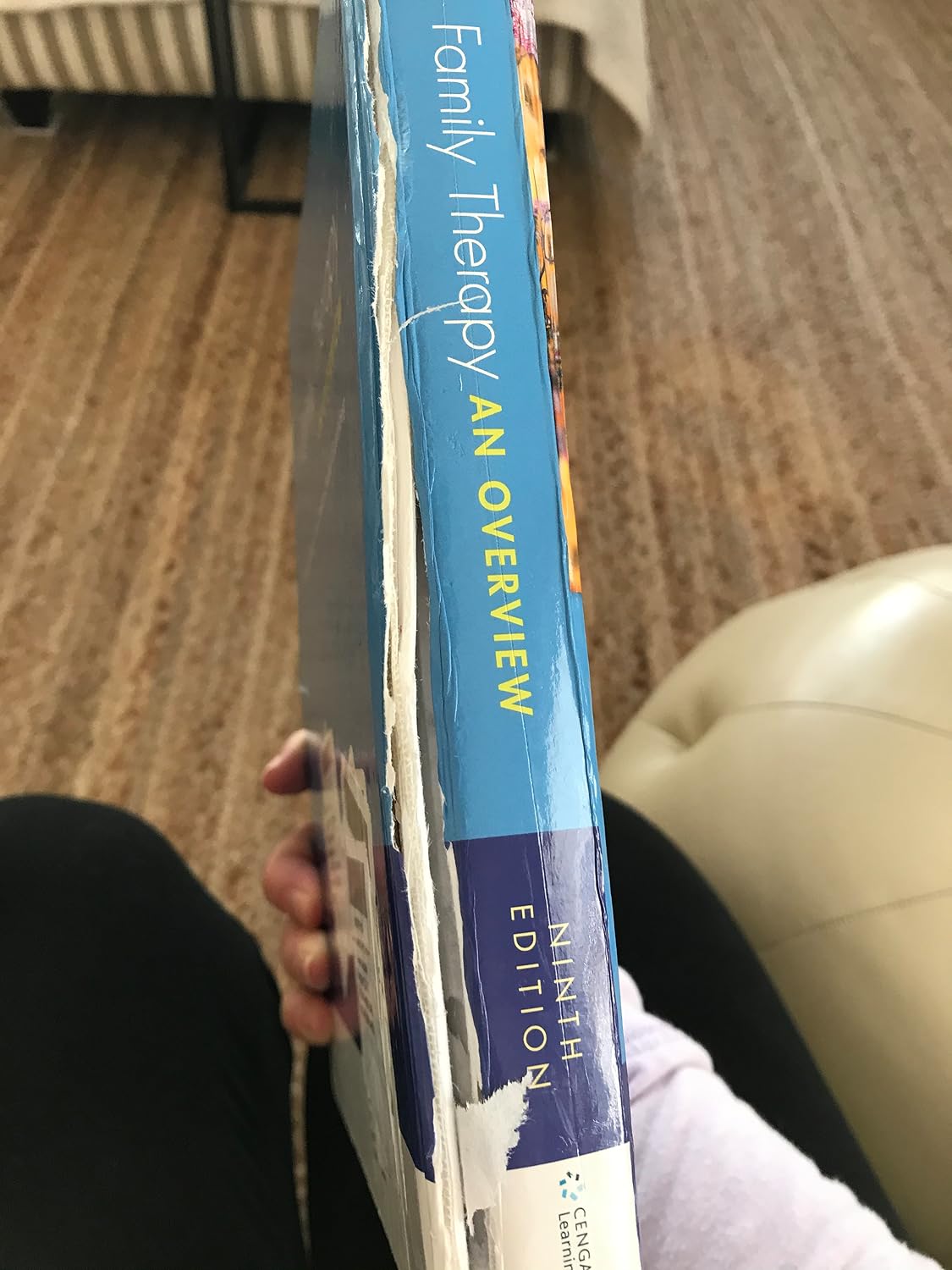 Family Therapy: An Overview 9th Edition 9781305092969 - Image 7