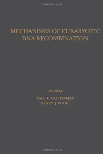 Mechanisms of Eukaryotic DNA Recombination