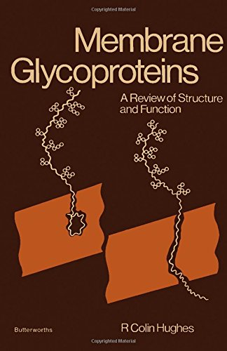 Membrane glycoproteins: A review of structure and function