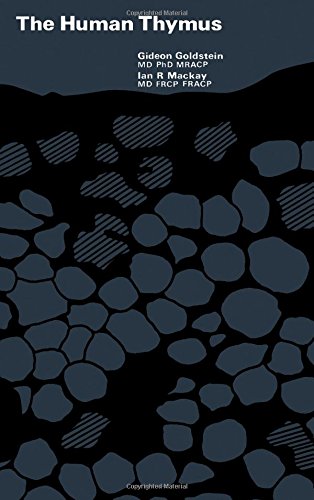 The human thymus