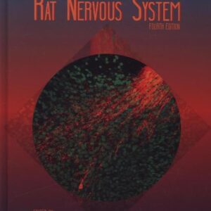 The Rat Nervous System