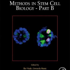 Methods in Stem Cell Biology - Part B (Volume 171) (Methods in Cell Biology